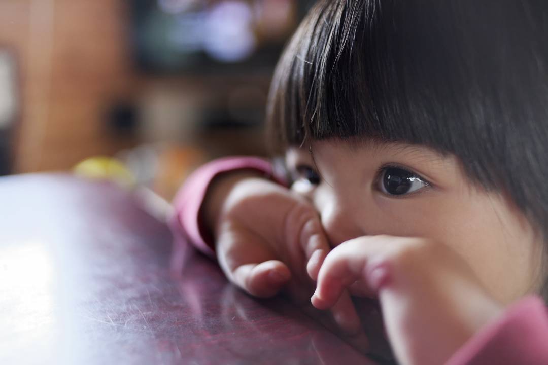 学校写真・ビデオ撮影（幼稚園・保育園　等）業務委託　募集中　正社員・契約社員も同時募集中